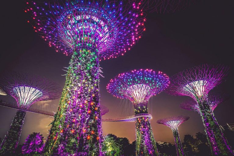 Supertree Grove illuminated at night in Singapore