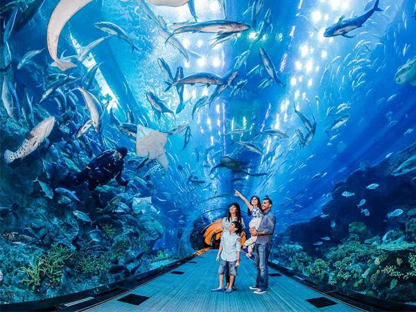 Sea Life Bangkok underwater tunnel