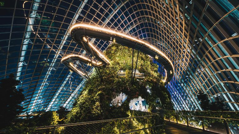 Tourists walking through misty sky bridges