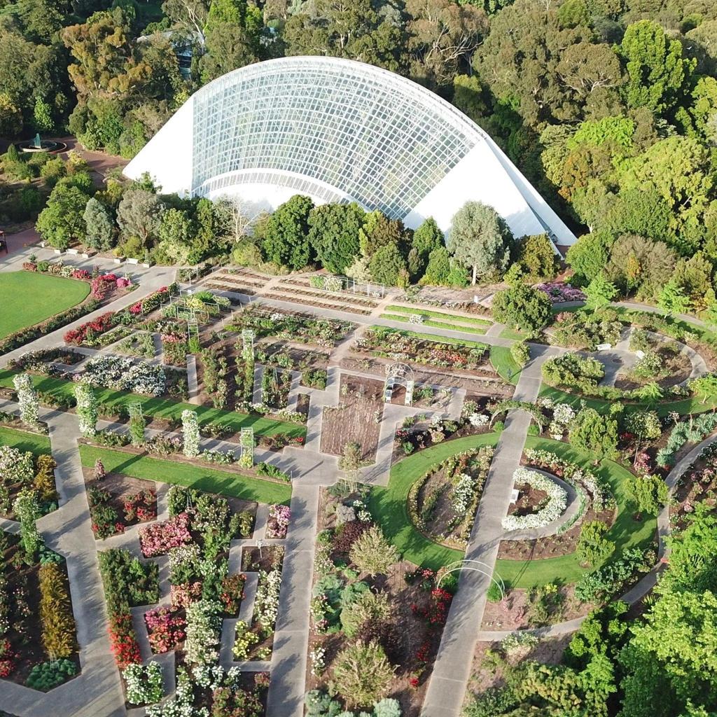 Adelaide Botanic Garden – Adelaide’s Green Oasis Filled with Rare Plants and Stunning Landscapes