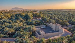 Al Ain Oasis UAE: A UNESCO World Heritage Site and Ancient Green Paradise