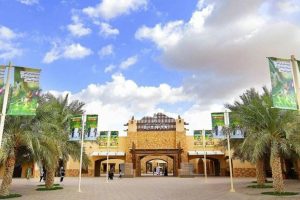 Al Ain Zoo: A Premier Wildlife Experience in the UAE