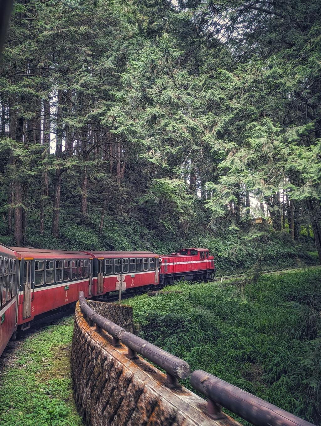 Alishan Forest Railway – Taiwan’s Legendary Mountain Train Through Clouds and Forests