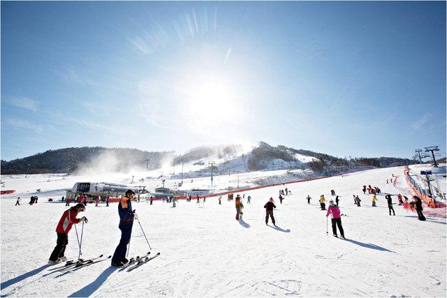 Alpensia Ski Resort – Korea’s Alpine Winter Wonderland of Olympic Slopes, Snowy Mountain Landscapes, Luxury Ski Facilities, and Four-Season Resort Lifestyle