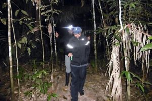 Amazon Night Walk – Discover the Amazon Rainforest After Dark