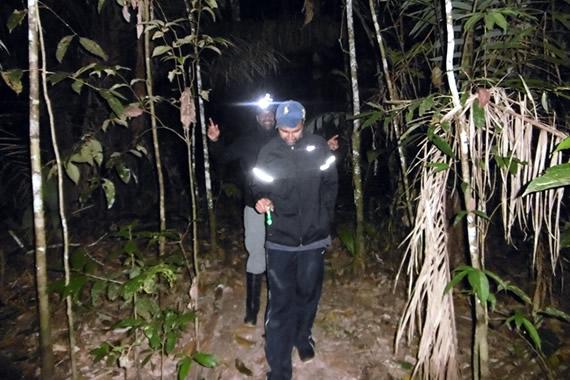 Amazon Night Walk – Discover the Amazon Rainforest After Dark