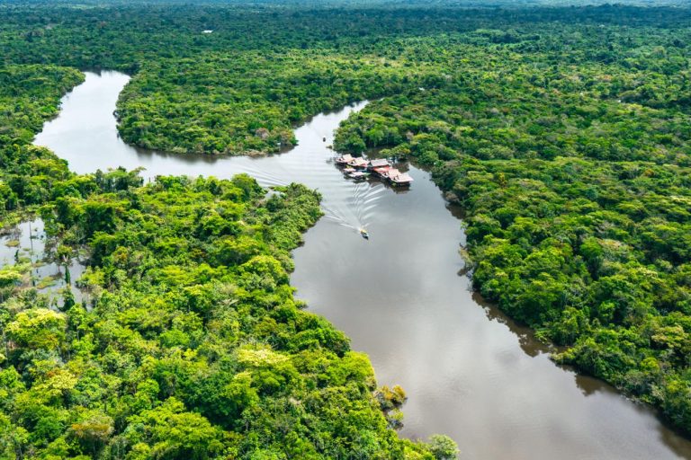 Amazon River – The World’s Greatest Rainforest Waterway Full of Life & Mystery