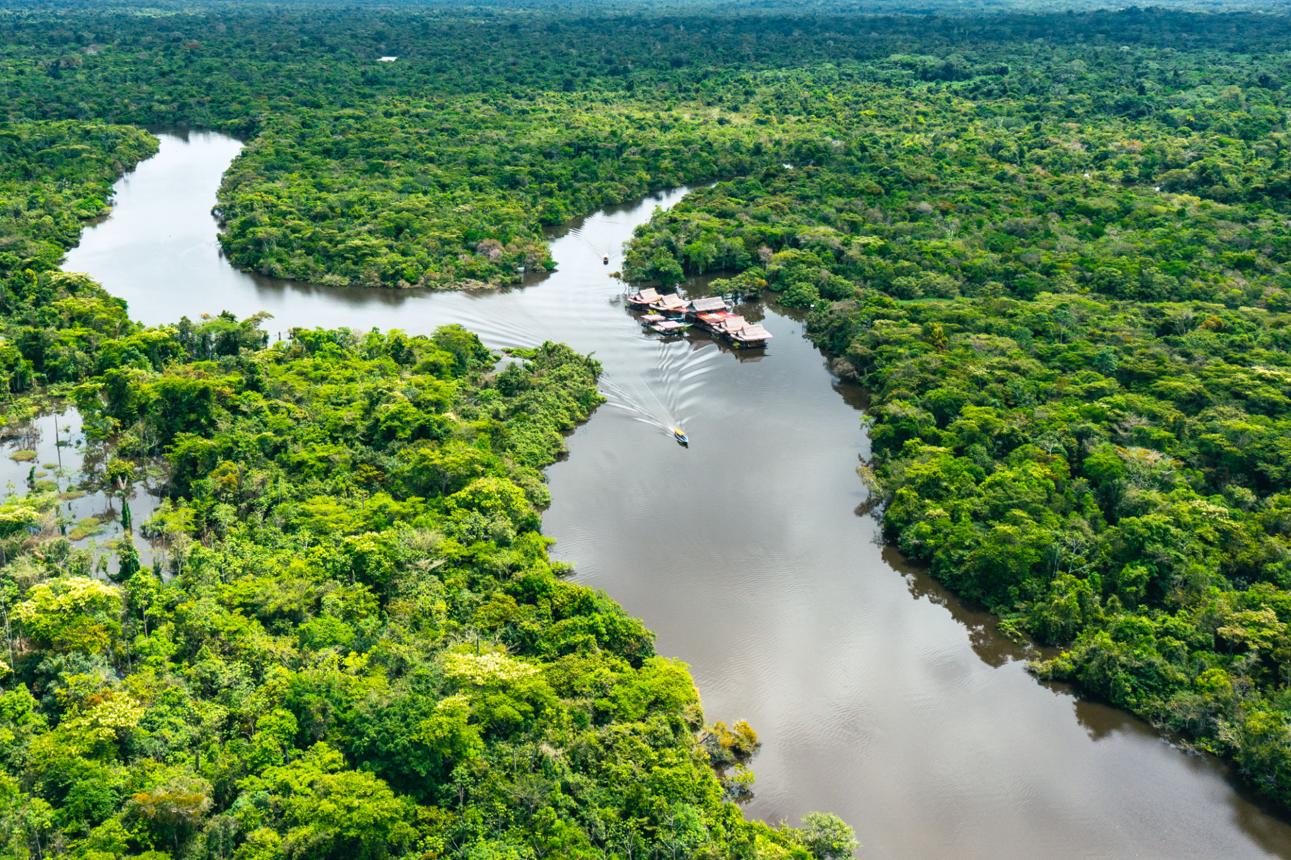 Amazon River – The World’s Greatest Rainforest Waterway Full of Life & Mystery