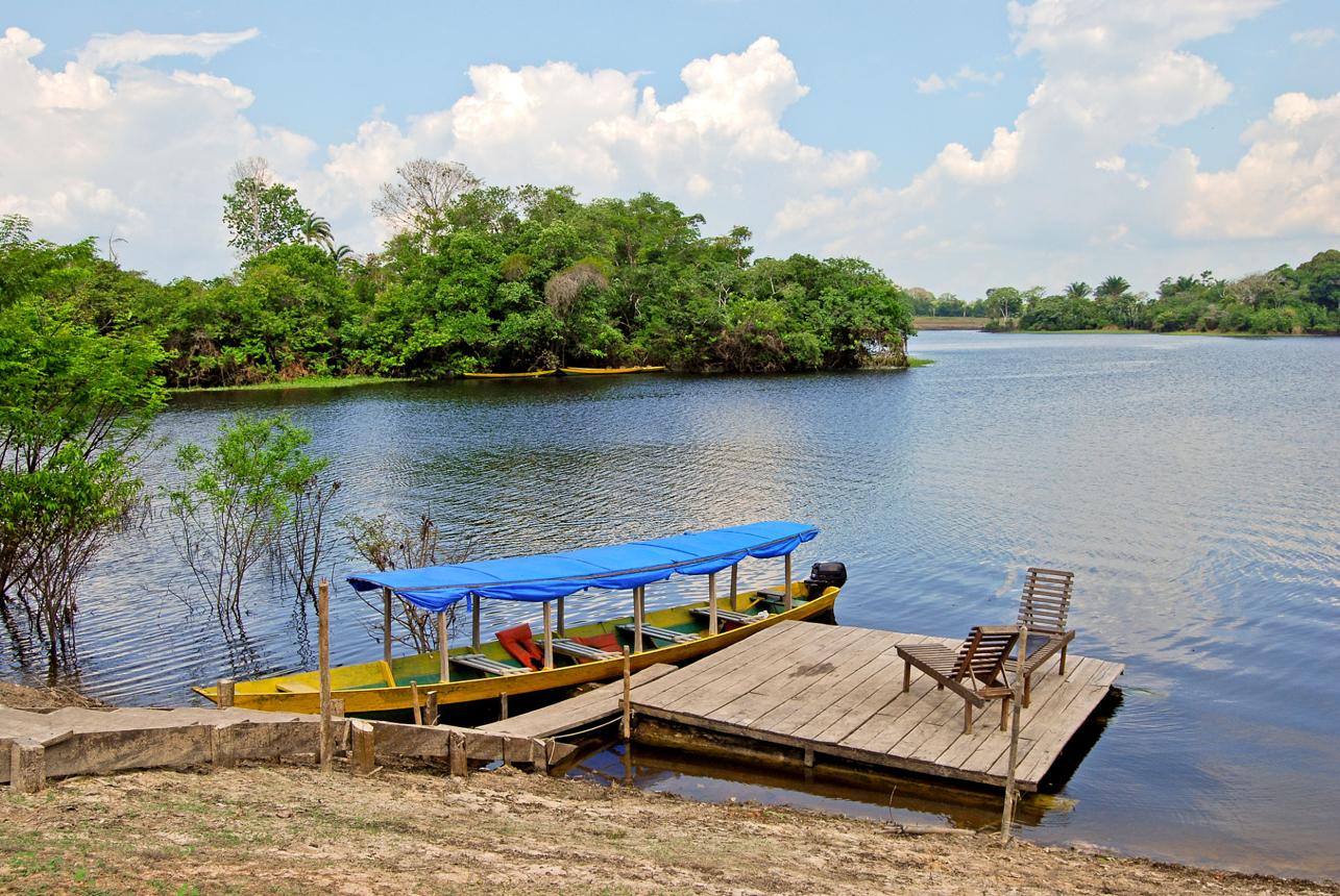 Amazon Wildlife Experiences – Explore the Heart of the World’s Greatest Rainforest