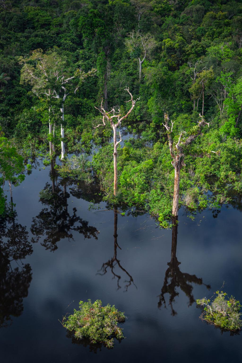 Anavilhanas National Park – Explore the World’s Largest River Archipelago in the Amazon