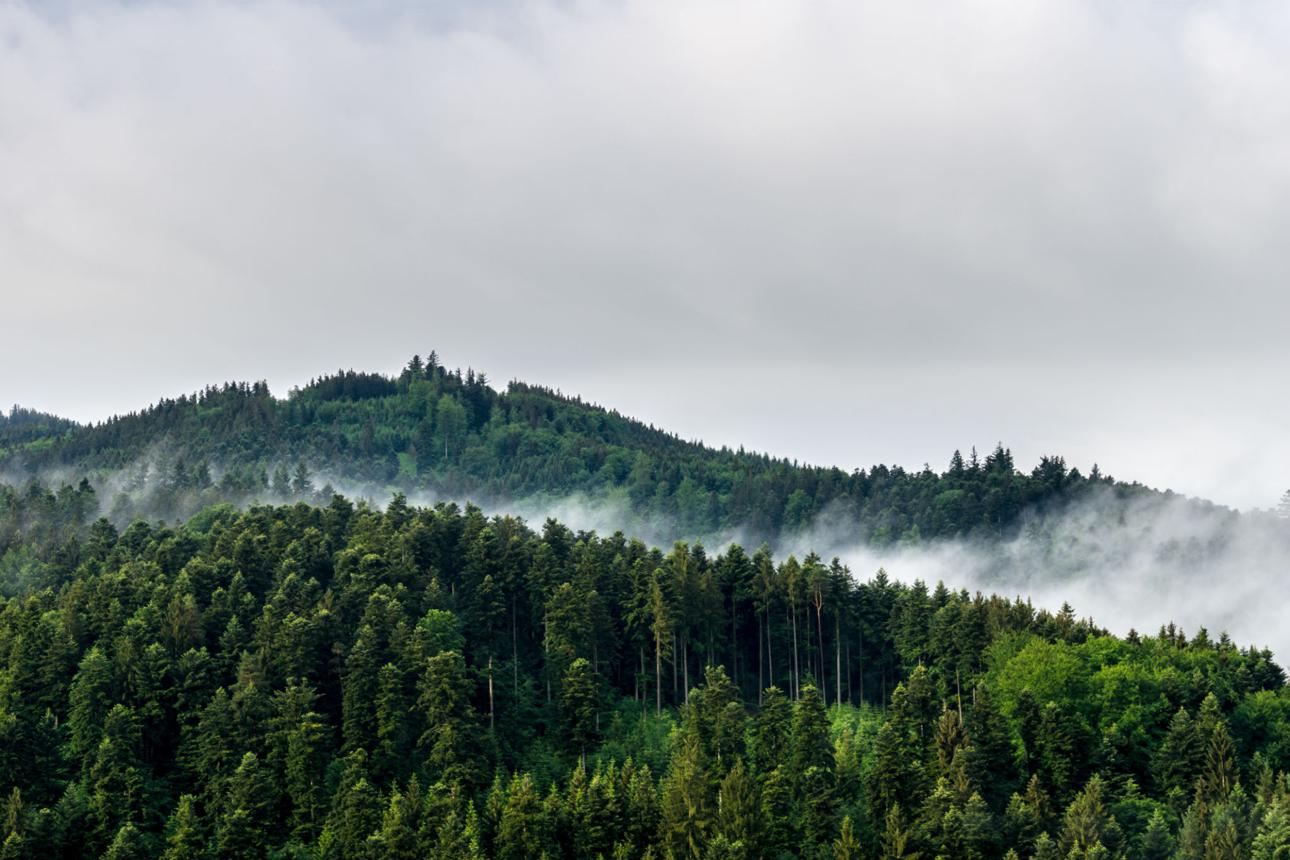 Black Forest – Germany’s Enchanted Wilderness of Fairy Tales, Waterfalls, and Timeless Villages