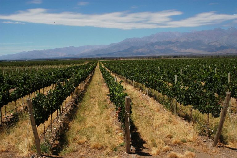 Bodega Salentein – Argentina’s Spectacular Winery Where Wine Meets the Andes