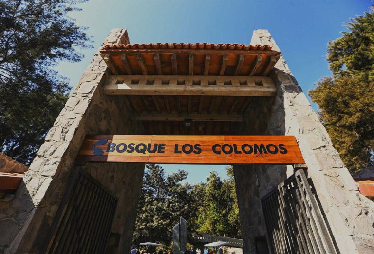 Bosque Los Colomos – Guadalajara's Urban Oasis