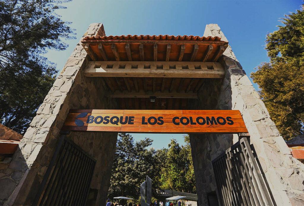 Bosque Los Colomos – Guadalajara's Urban Oasis