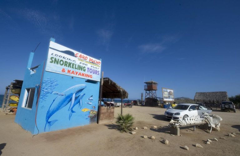 Cabo Pulmo National Park – Mexico's Underwater Paradise