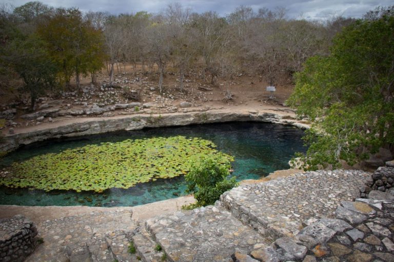 Cenote Xlacah – Hidden Mayan Water Sanctuary