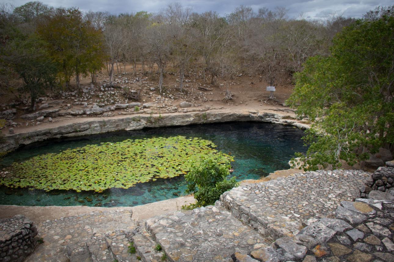 Cenote Xlacah – Hidden Mayan Water Sanctuary