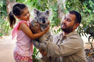 Currumbin Wildlife Sanctuary – Australia’s Ultimate Wildlife Adventure on the Gold Coast
