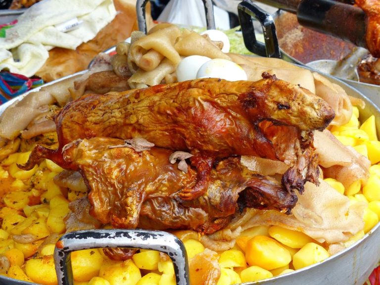Cuy (Cushine) in Quito – A Bold Traditional Andean Culinary Experience You Must Try