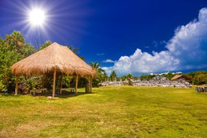 El Rey Archaeological Zone – Ancient Mayan Ruins in Cancun