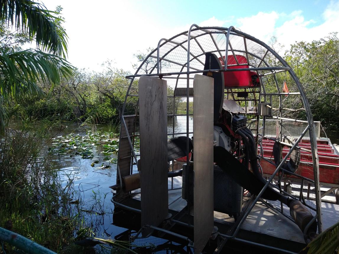 Everglades National Park – Florida's Untamed Wilderness