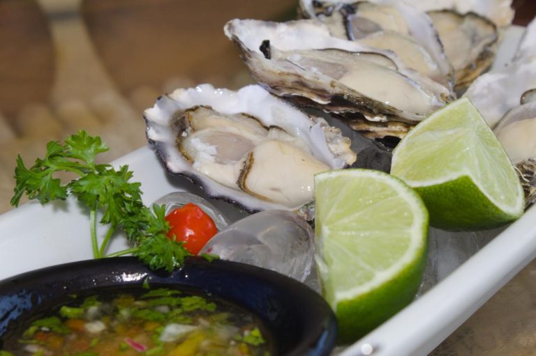 Florianópolis Seafood Cuisine – Taste Brazil's Coastal Culinary Paradise