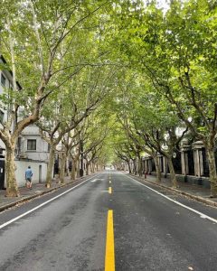 French Concession Shanghai – Discover the City's Most Charming Historic District