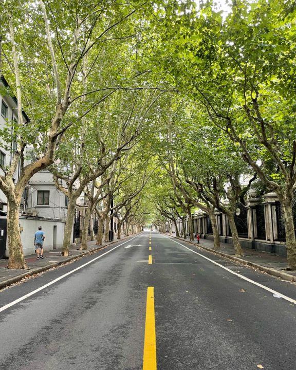 French Concession Shanghai – Discover the City's Most Charming Historic District