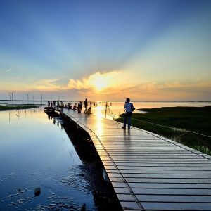 Gaomei Wetlands – Taiwan’s Magical Sunset Destination You’ll Never Forget
