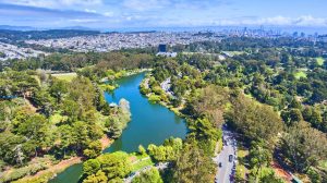 Golden Gate Park – San Francisco’s Green Oasis of Nature, Museums & Outdoor Adventure