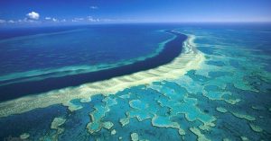 Great Barrier Reef – Explore the World’s Largest Coral Reef Wonderland