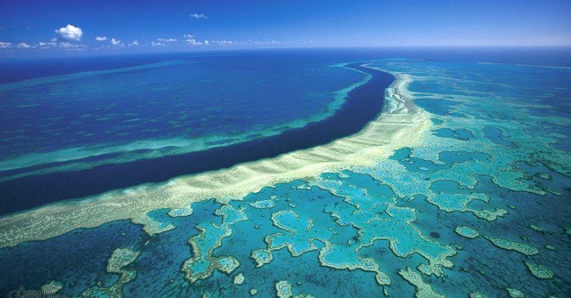 Great Barrier Reef – Explore the World’s Largest Coral Reef Wonderland