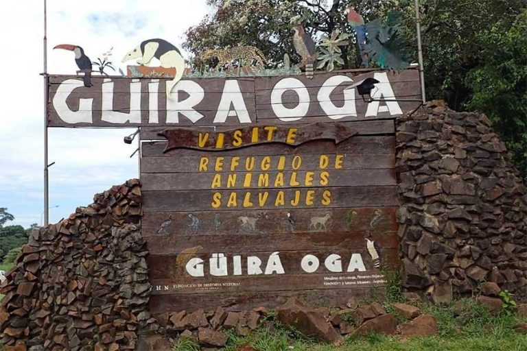 Güirá Oga – Argentina’s Inspiring Wildlife Rescue Sanctuary in the Heart of Misiones