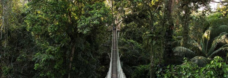 Inkaterra Canopy Walkway – Walk Above the Amazon Rainforest in Peru’s Ultimate Sky Adventure