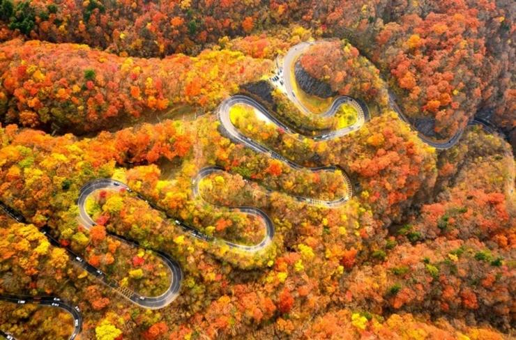 Irohazaka Road – Japan’s Legendary Mountain Curves in Nikko