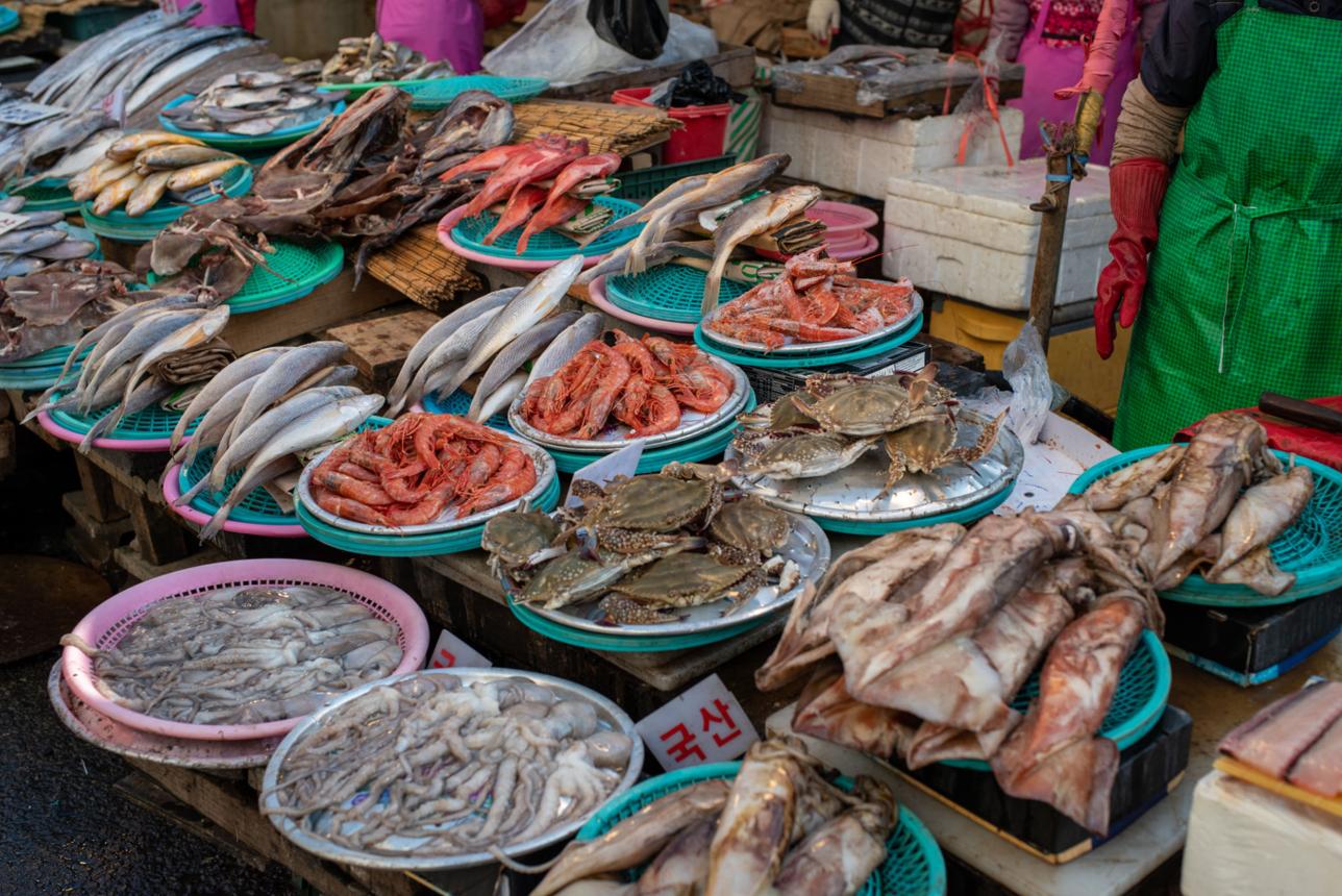 Jagalchi Market – Busan’s Legendary Seafood Kingdom of Fresh Ocean Catch, Bustling Fish Trade, and Authentic Coastal Food Culture