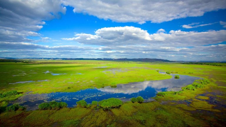 Kakadu National Park – Australia’s Ultimate Wilderness Adventure in the Top End