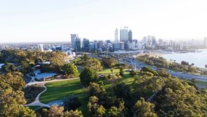Kings Park and Botanic Garden – Perth’s Spectacular Urban Oasis with Stunning City Views