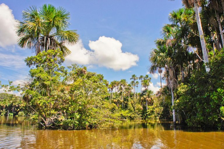 Lake Sandoval – Peru’s Hidden Amazon Paradise Filled with Wildlife Wonders