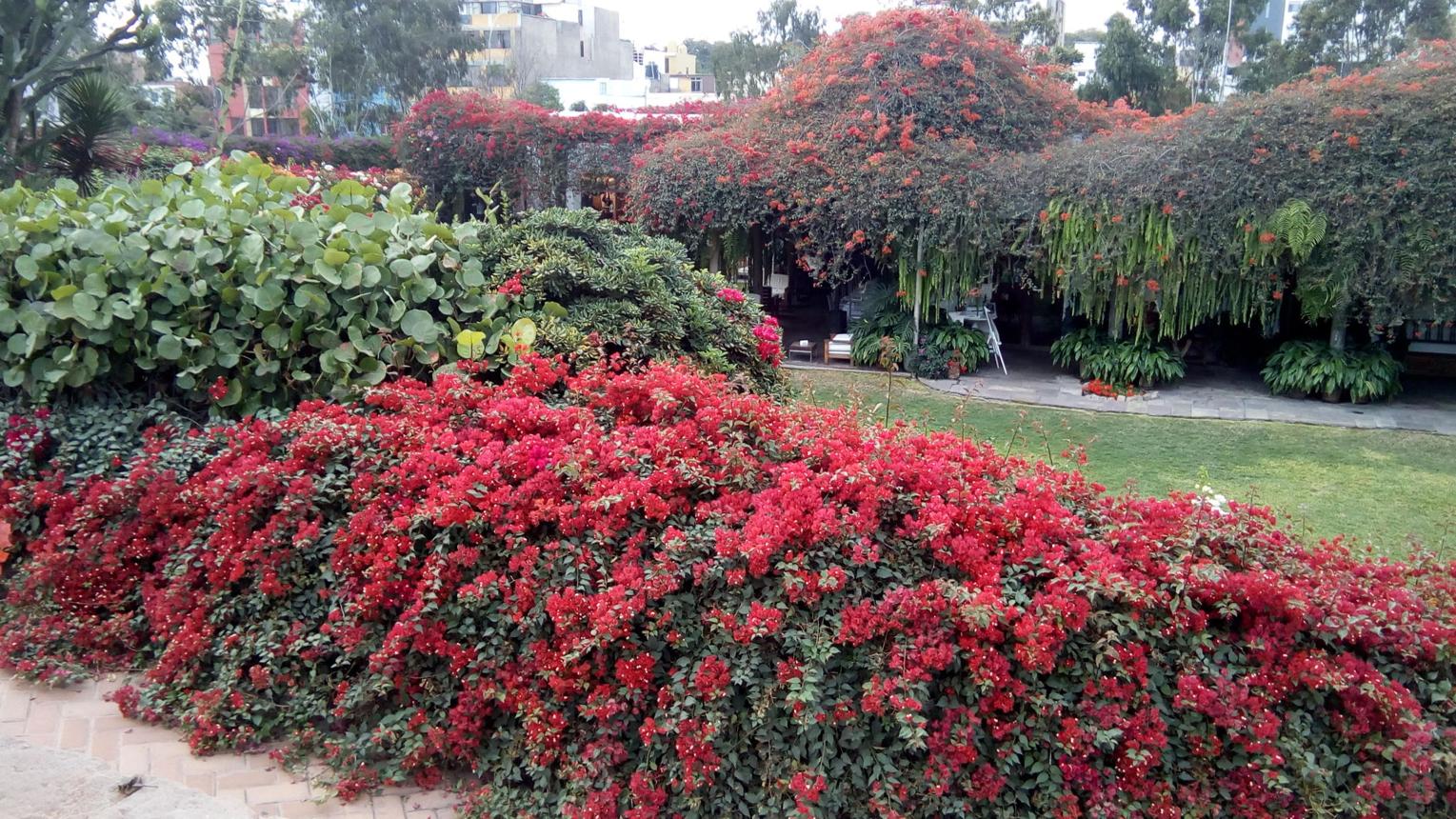 Larco Museum – Explore Lima’s Most Fascinating Ancient Treasure House