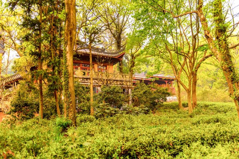 Lingyin Temple – Discover Hangzhou’s Ancient Buddhist Sanctuary Hidden in the Forest