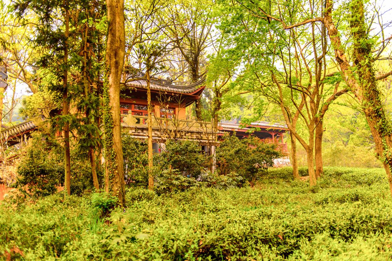 Lingyin Temple – Discover Hangzhou’s Ancient Buddhist Sanctuary Hidden in the Forest