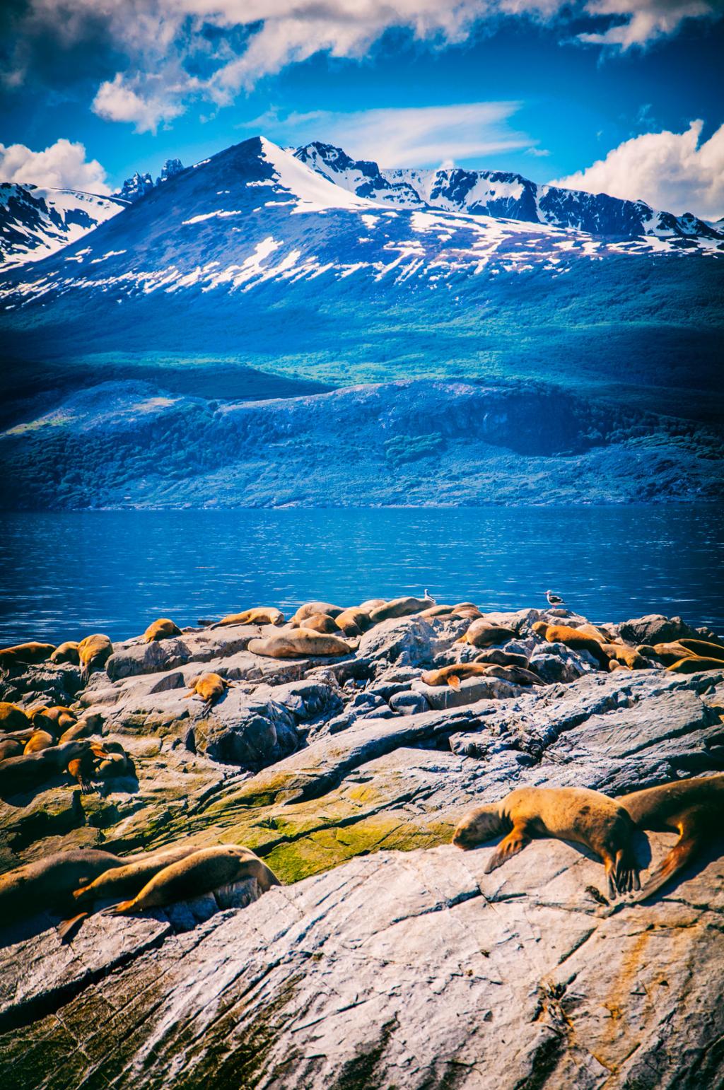 Lobos Marinos Monument – Ushuaia’s Iconic Tribute to Patagonia’s Marine Wildlife