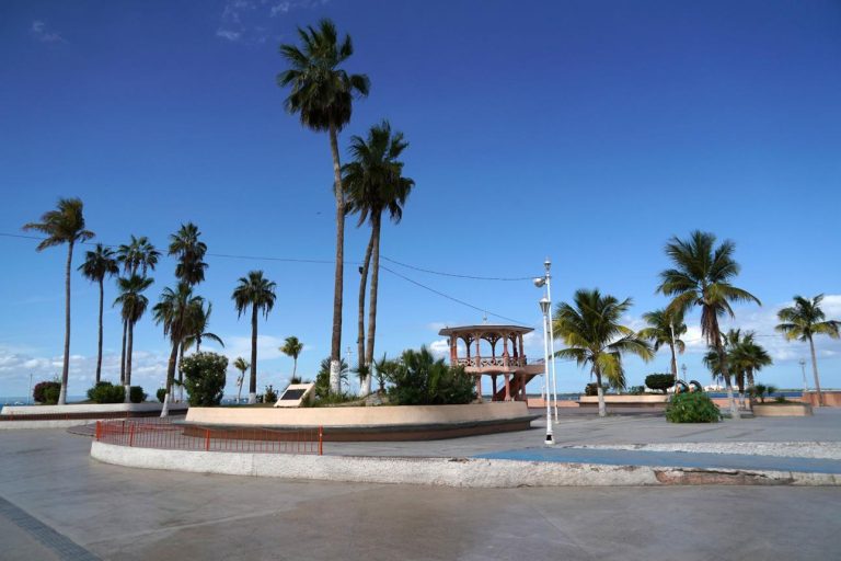 Malecón – Cabo's Scenic Waterfront Escape