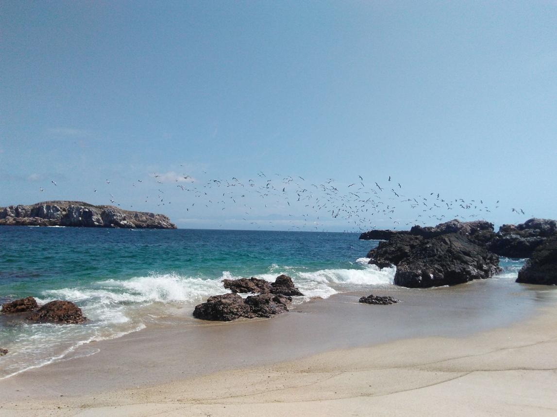 Marietas Islands – Mexico's Hidden Paradise