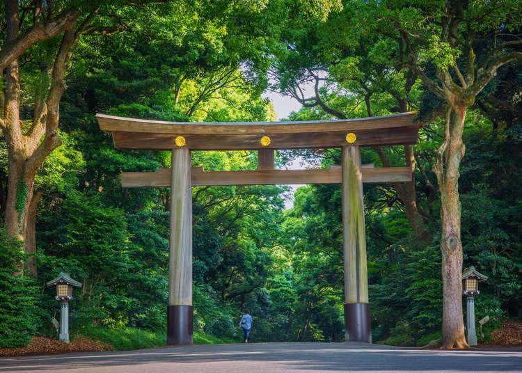 Meiji Shrine – Tokyo’s Sacred Forest Retreat of Shinto Traditions, Majestic Torii Gates, Imperial Legacy, and Tranquil Urban Nature