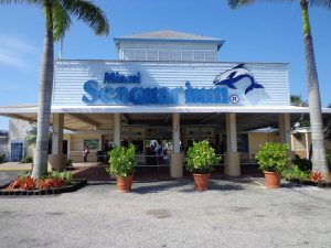Miami Seaquarium – Miami's Marine Adventure