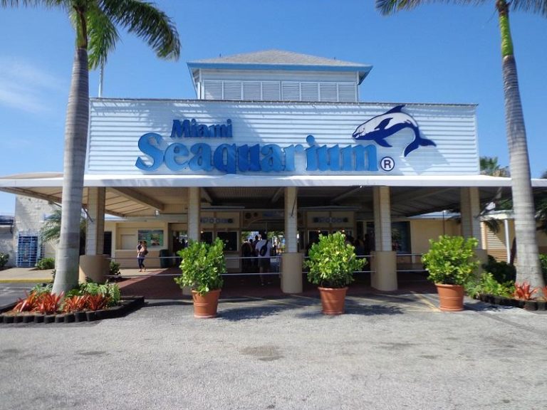 Miami Seaquarium – Miami's Marine Adventure