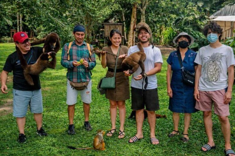 Monkey Island – Peru’s Amazon Sanctuary Where You Meet Monkeys Up Close