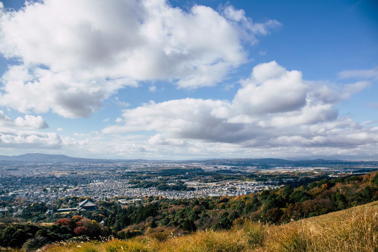 Mount Wakakusa – Nara’s Scenic Hilltop Viewpoint